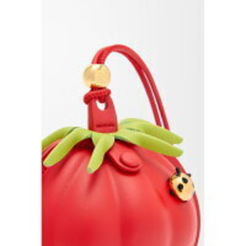 LOEWE Spring Summer Tomato Neck Pouch Red - Picture 4 of 4